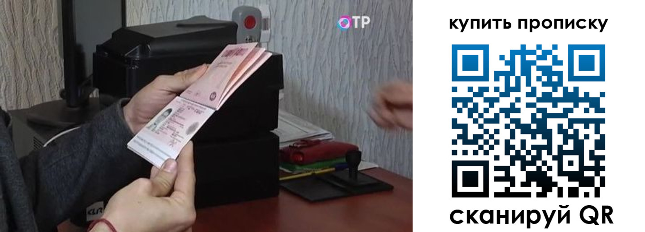 прописка гарантия в Йошкар-Оле
